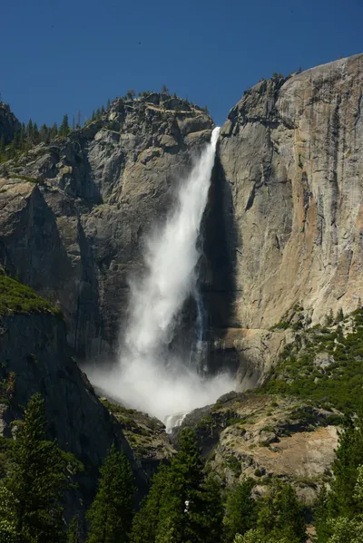 DSC_2371 (Large).JPG